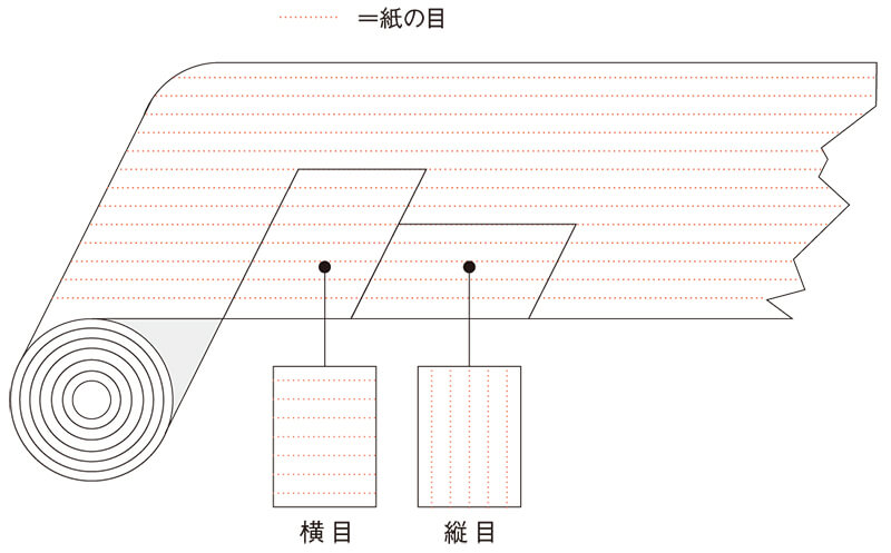 紙の目