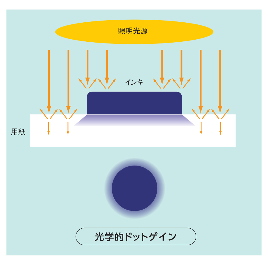 太りすぎに注意！