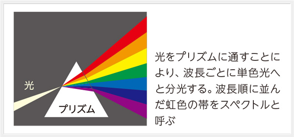 色にまつわる、いろいろな話