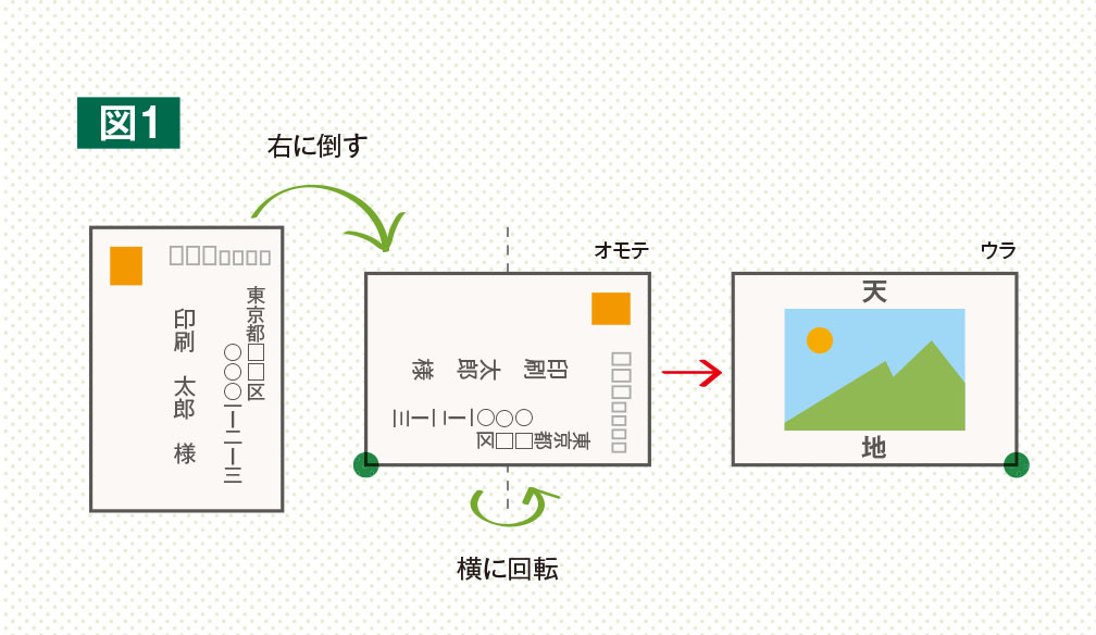 どちらがオモテ？ ウラ？